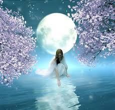 Wallpapers - imageaaaas.jpeg